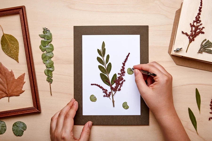 A woman framing pressed flowers and leaves