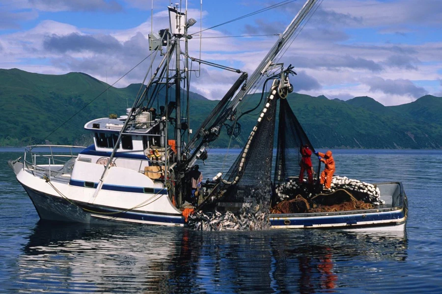 Pêche commerciale au saumon