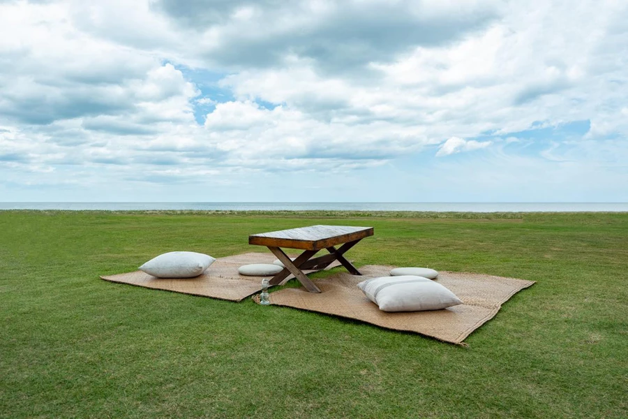 Empty picnic table on green grass with blue sky view