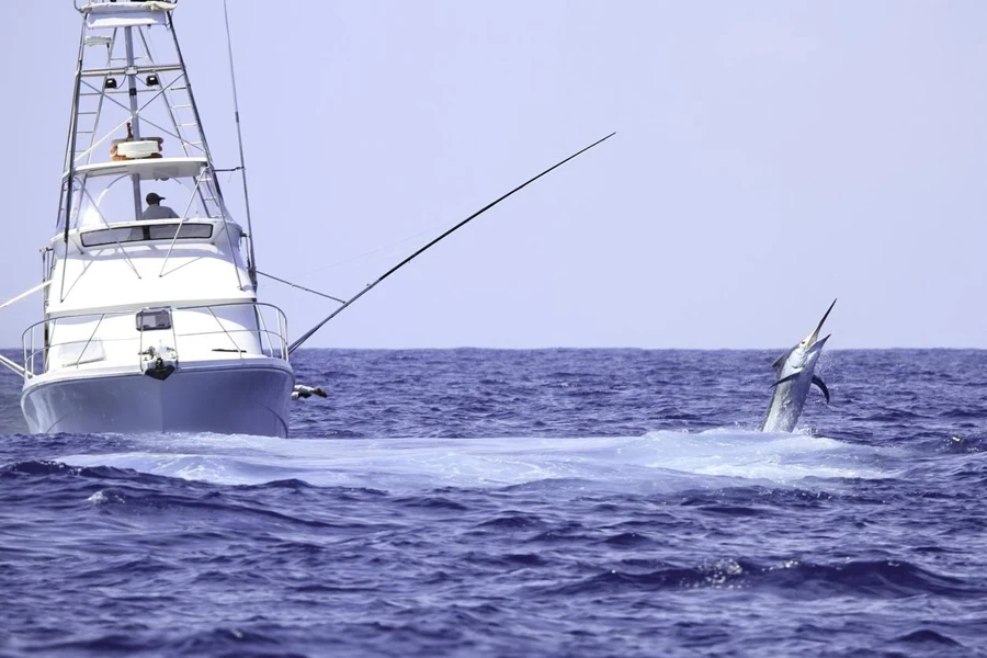 Barca da pesca che combatte un marlin