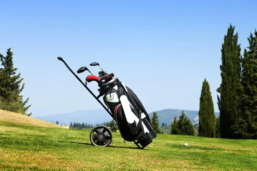 Golf bag on fairway