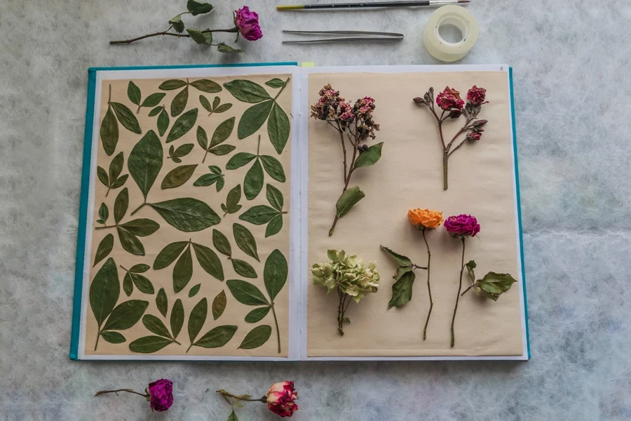 Notizbuch mit getrockneten Blumen und Blättern auf Papierhintergrund