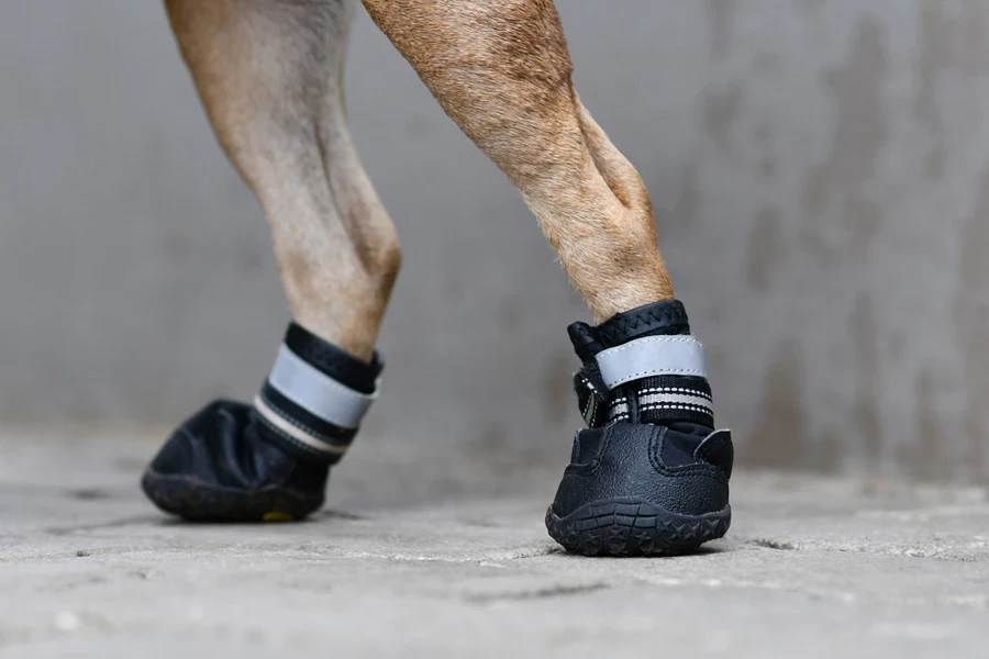 Sapatos protetores para cães cobrindo as patas