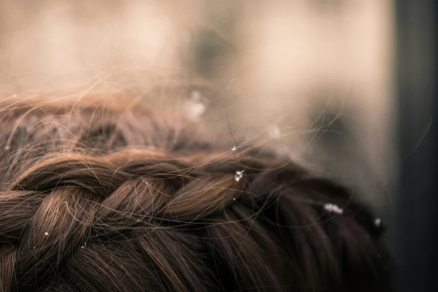 Snowy Braids 