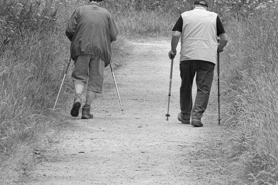 Due uomini anziani che fanno trekking con bastoni da passeggio standard