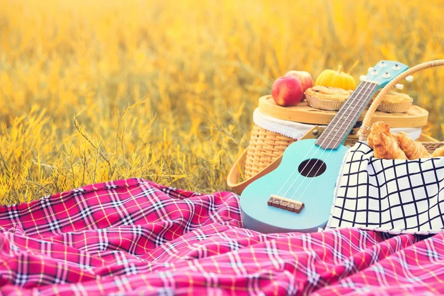 Ukulele guitar, picnic basket, bread and fruits on picnic mat on grass