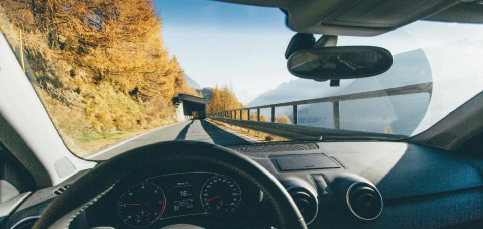 木の近くの道路上の車両