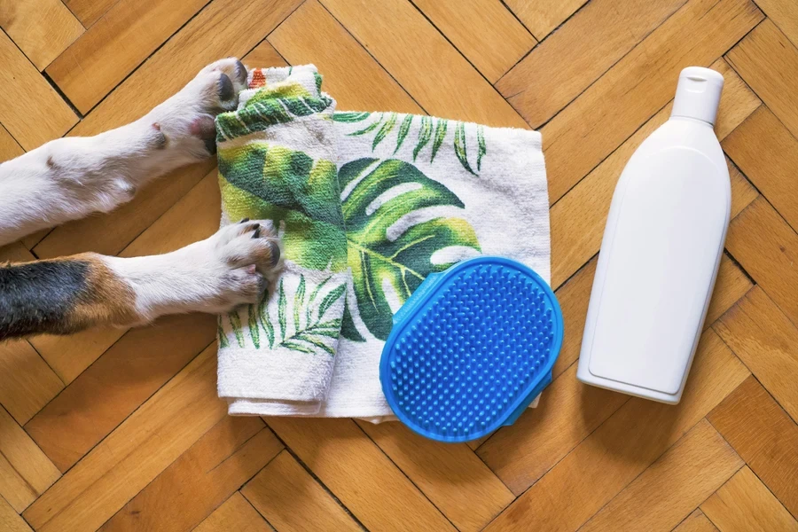 Chien blanc à poil court sur un plancher en bois avec serviette et articles de bain essentiels