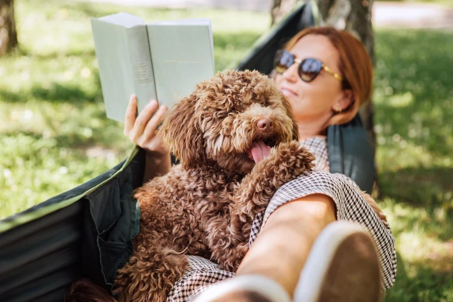 Woman reading book relaxing in hammock with her fluffy brown Maltipoo dog on sunny day