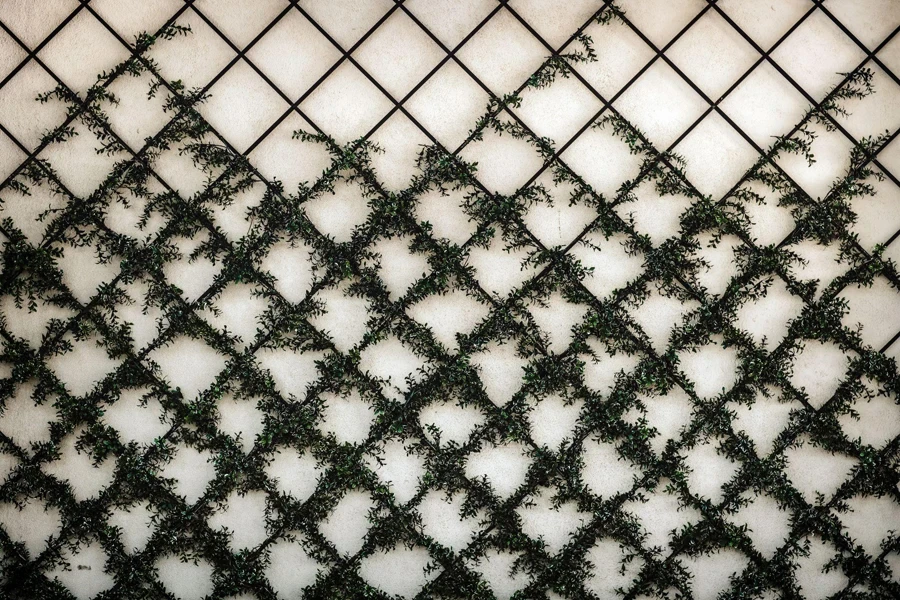 a close up of a wall with vines growing on it