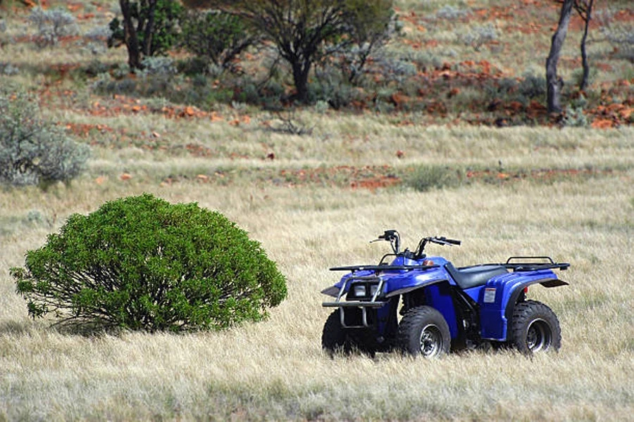 electric ATV