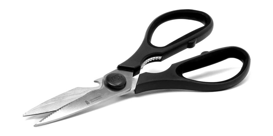 the kitchen scissors