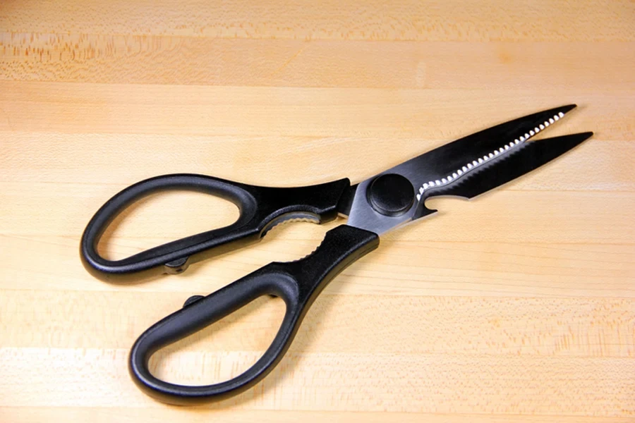 the kitchen scissors