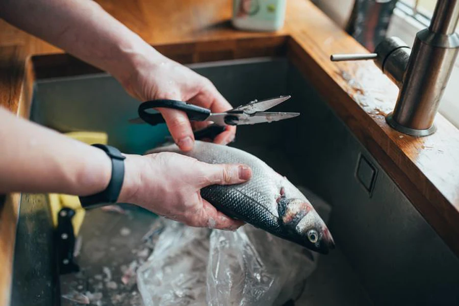 the kitchen scissors