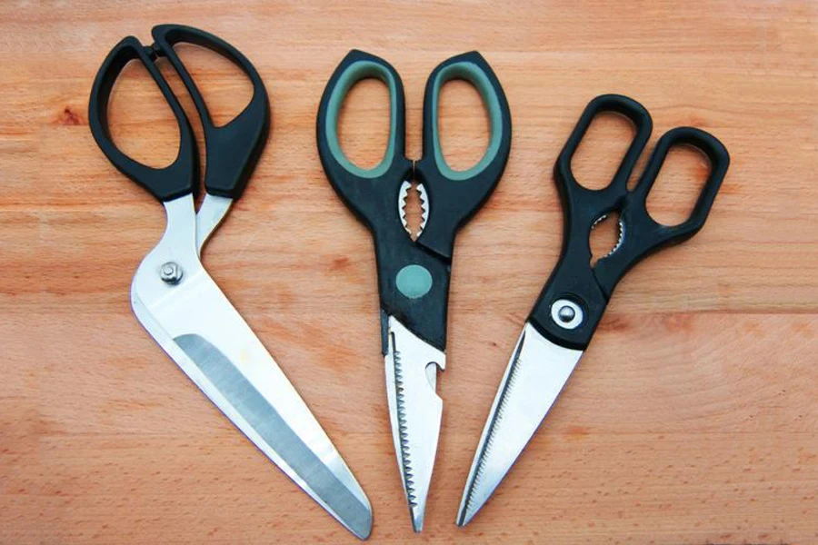 the kitchen scissors