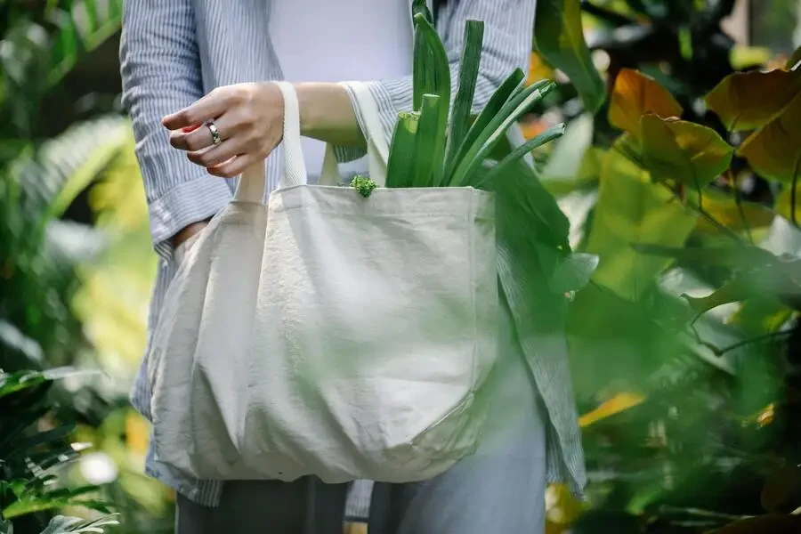 Donna che porta una borsa della spesa ecologica