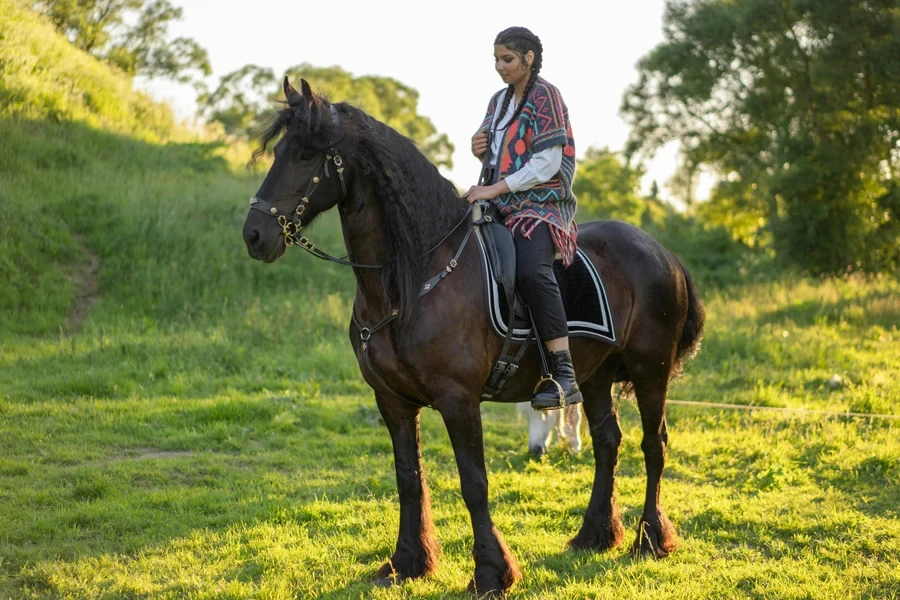 Eine Frau auf einem Pferd