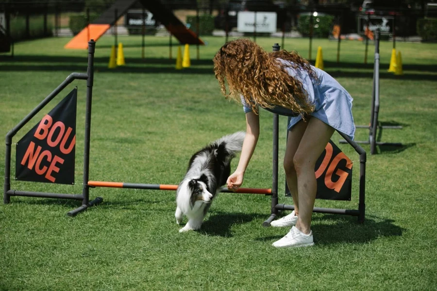 Seseorang bermain dengan anjing