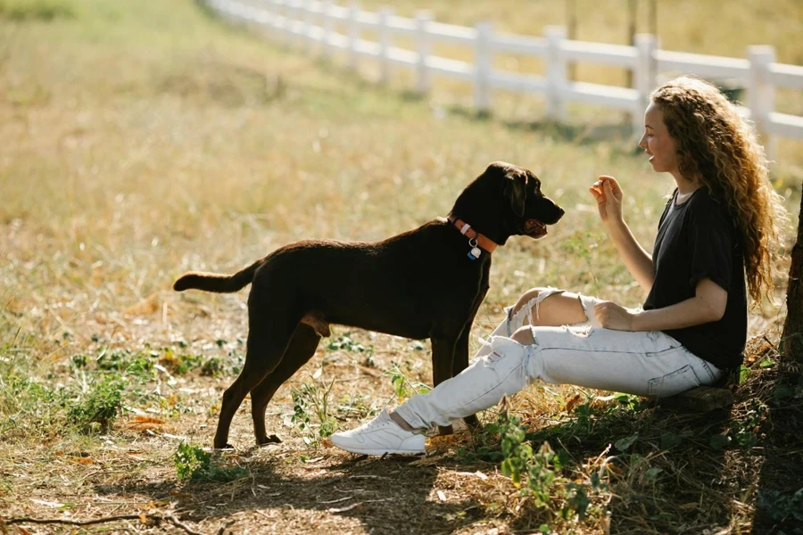 Une personne assise par terre avec un chien