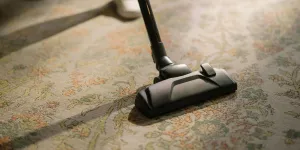 Black Vacuum Cleaner on Area Rug