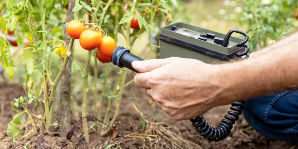 Persona che misura la radioattività delle verdure