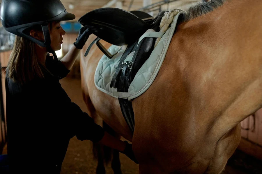 Ernsthafte junge Frau bereitet Pferd zum Reiten vor