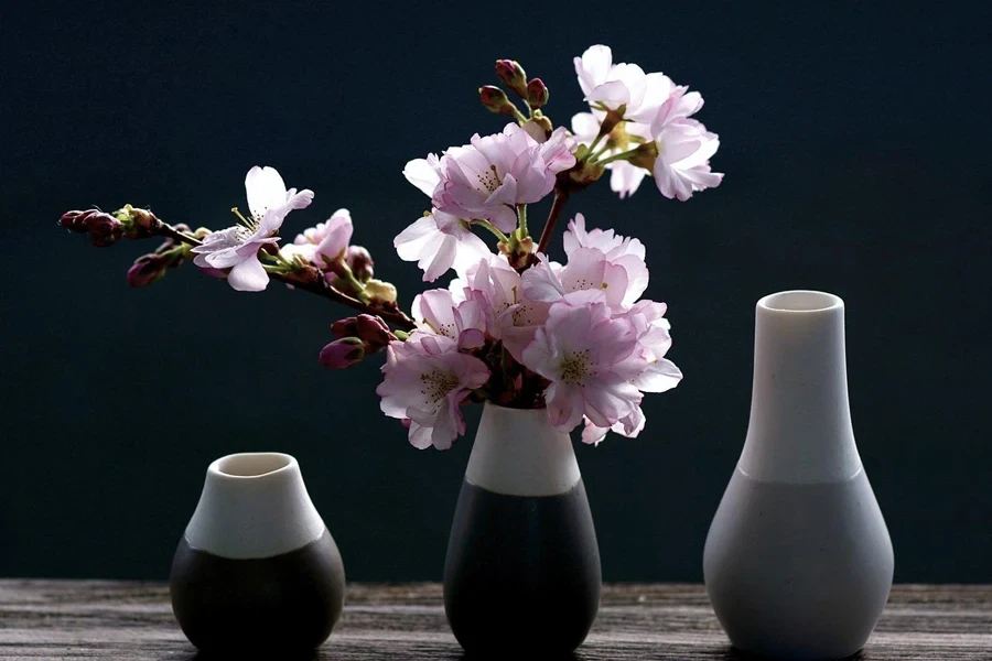 cherry blossoms, branch, pink