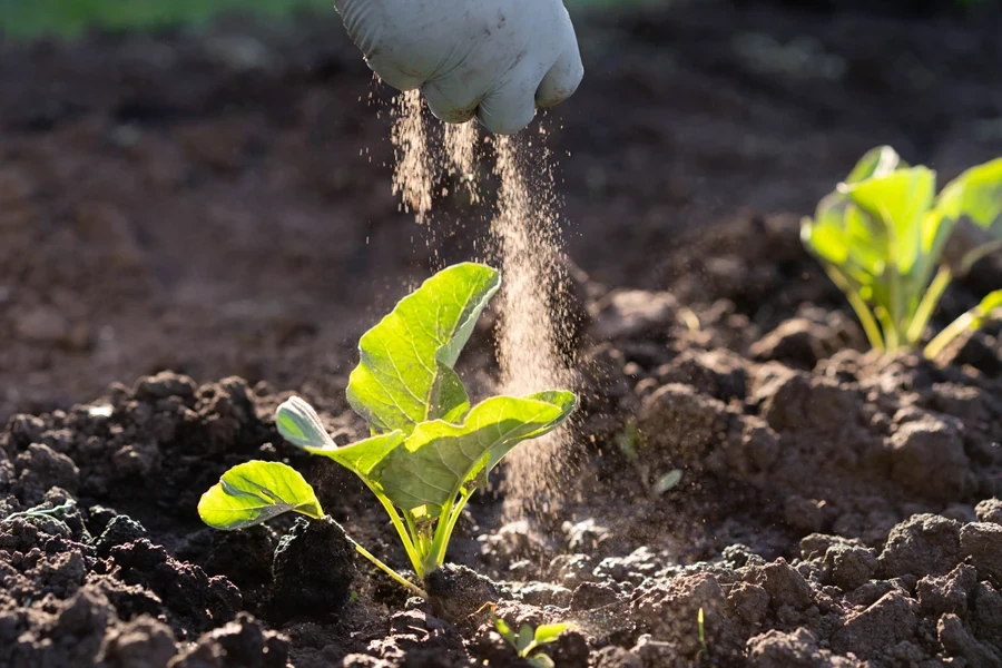 espalhador de fertilizante agrícola