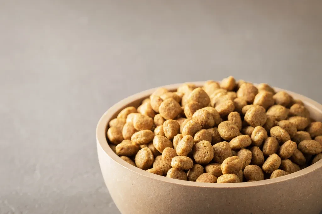 Delicious, crunchy cat or dog food in a brown bowl close-up, copy space