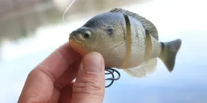 Uomo che tiene in mano un'esca per pesciolini davanti all'acqua