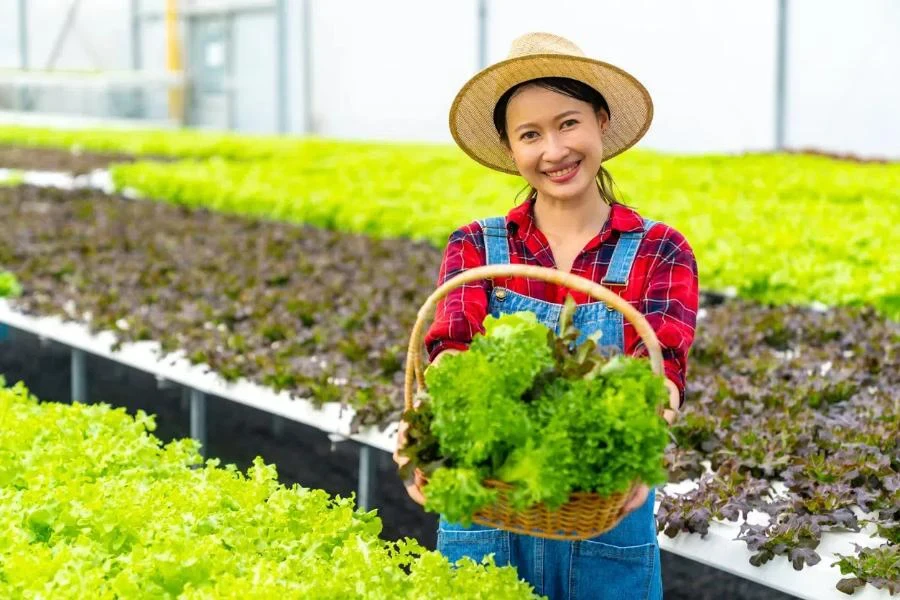 Seorang petani bahagia di rumah kaca hidroponik