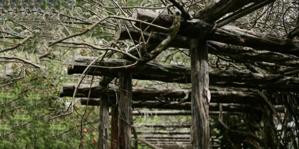 A rusty wooden structured trellis