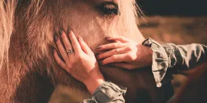 Crop unrecognizable female stroking muzzle of obedient horse while standing on grass under sunlight