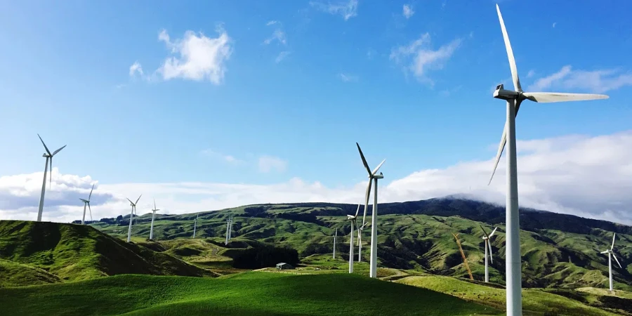 Foto genomen in Palmerston North, Nieuw-Zeeland