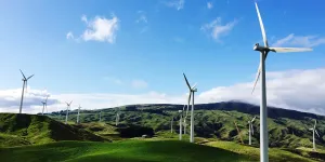 Foto scattata a Palmerston North, Nuova Zelanda