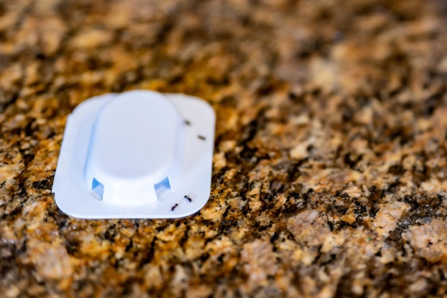 White ant trap bait on a countertop