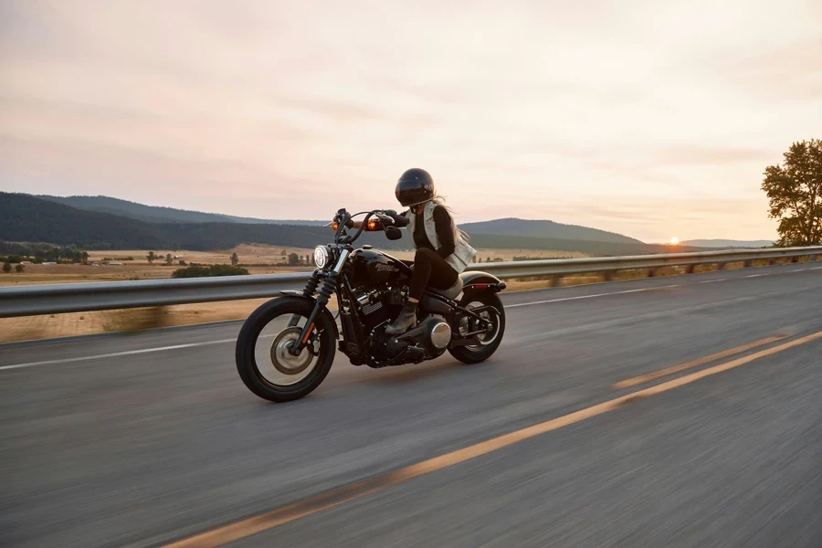 homme sur une moto cruiser noire sur l'autoroute