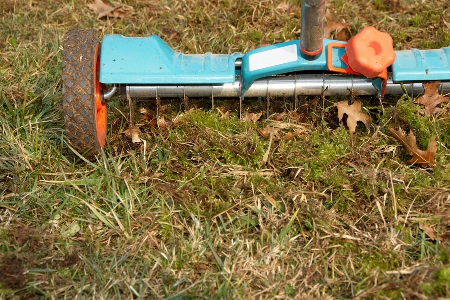 manual lawn aerator