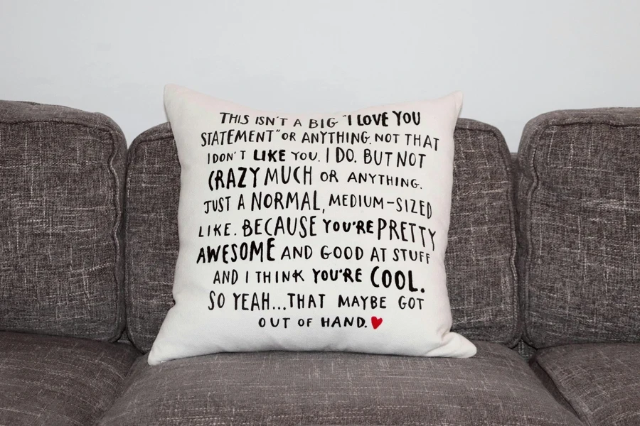 A cushion with a quote on it