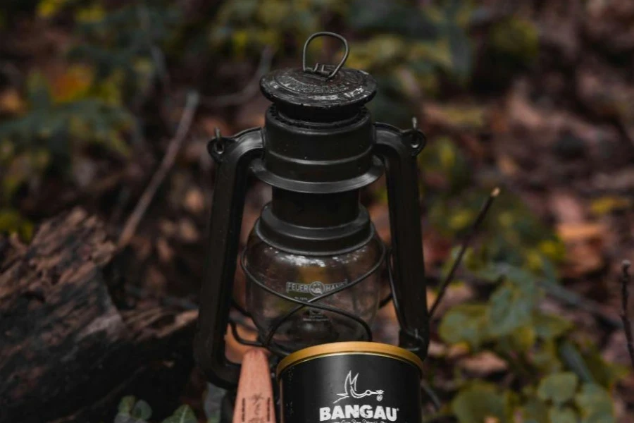 Camping Lantern on Forest Floor