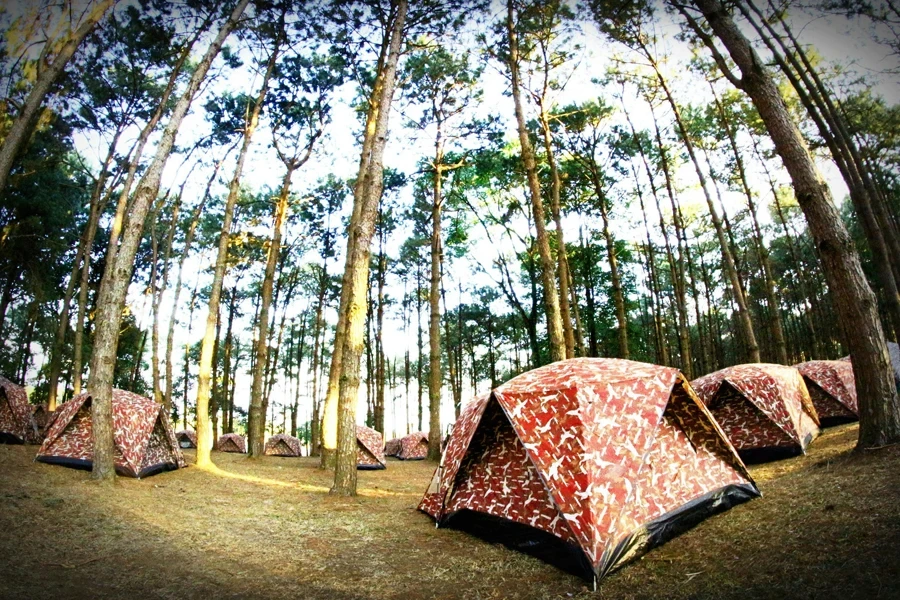 Fotografia con obiettivo fish-eye di tende rosse e bianche nel mezzo della foresta