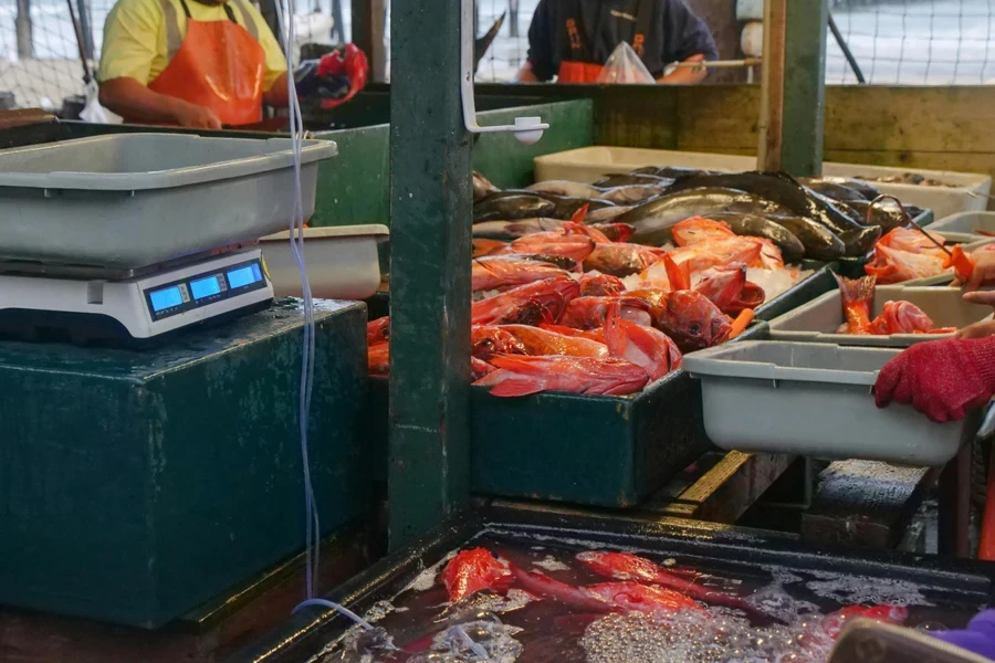 Peixes frescos no mercado