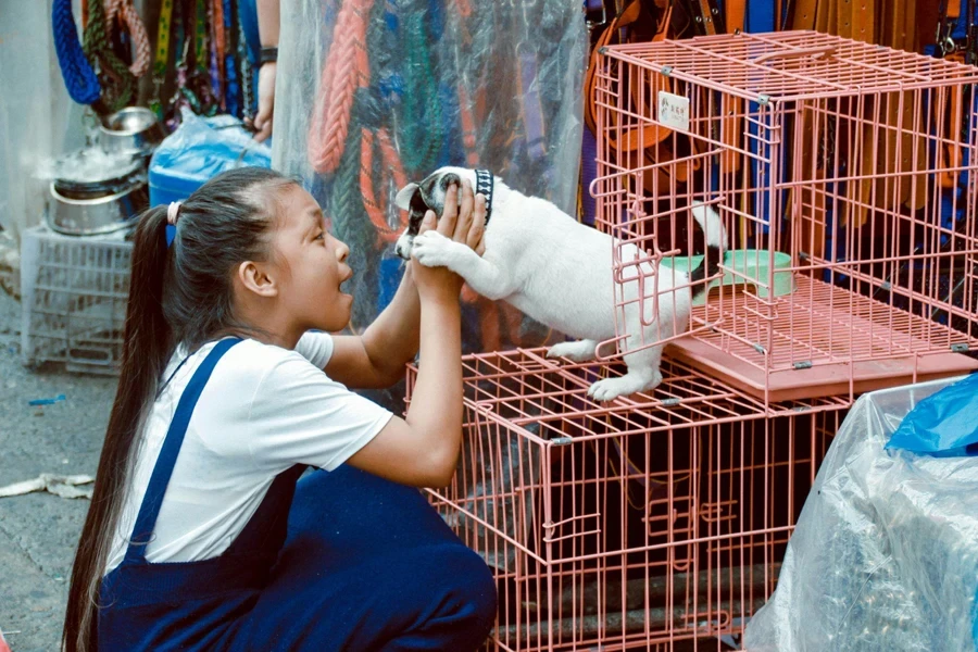 Photo d'une fille jouant avec le chien