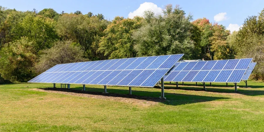 Rows of solar panels with trees in background in the countryside on a clear autumn day