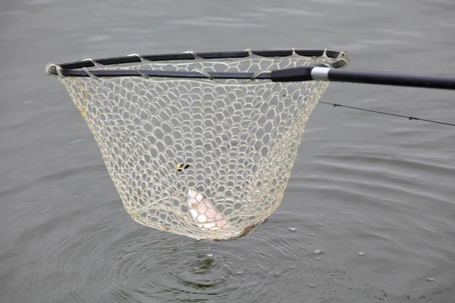 Pêche sportive à la truite