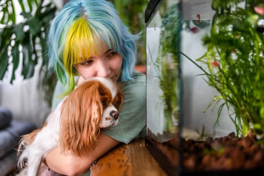 Jeune fille aux cheveux colorés