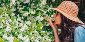 Mujer joven oliendo flores de jazmín