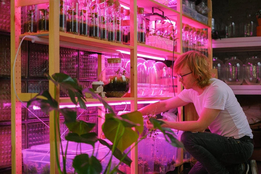 Customizable spectrum in LED grow lights is trending now