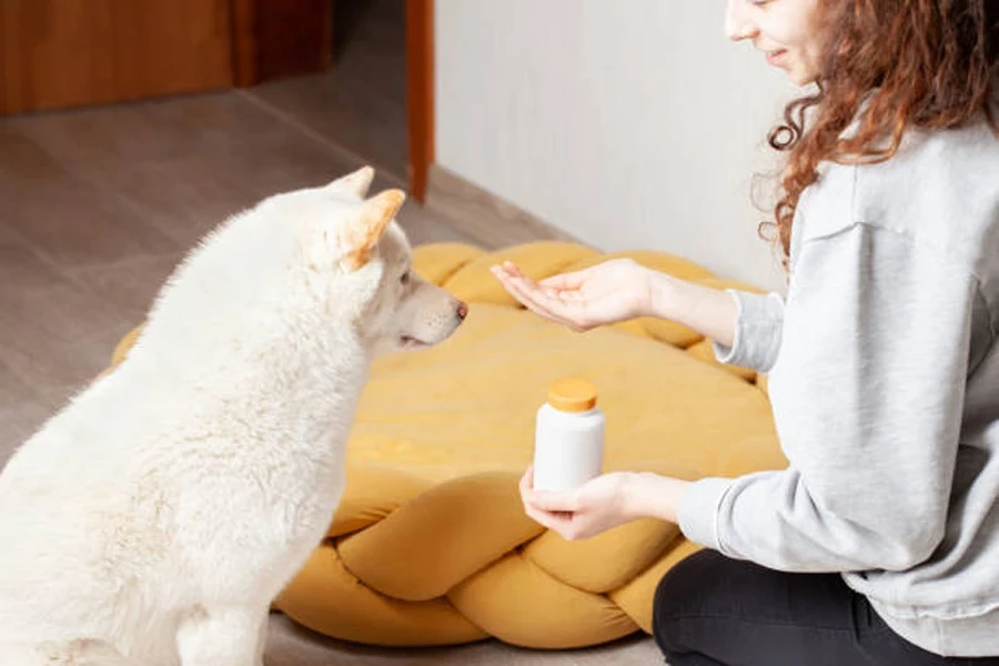 Dando vitaminas para cães