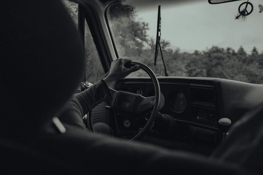 Photographie en niveaux de gris d'une personne conduisant une voiture